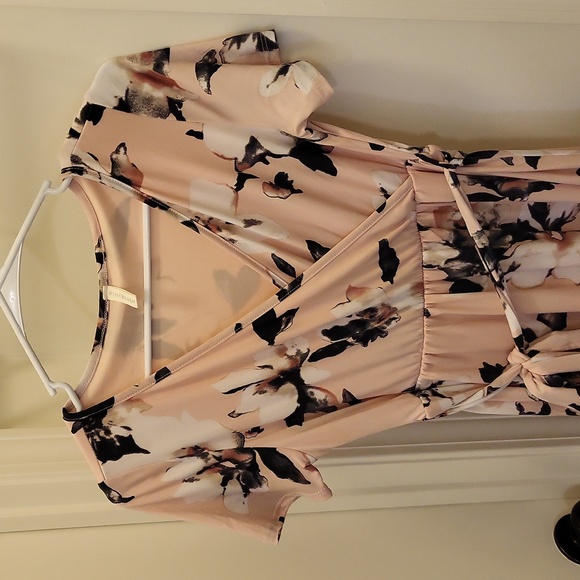 EUC PinkBlush Maternity/Nursing Dress: Blush Pink - Small - Picture 6 of 8